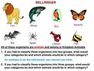 All of these organisms are animals and belong in Kingdom Animalia
