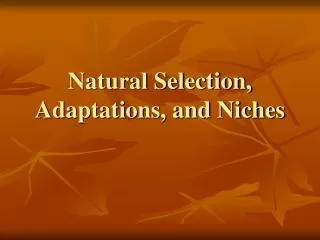 Natural Selection, Adaptations, and Niches