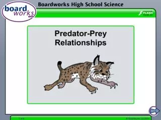 Predators and prey