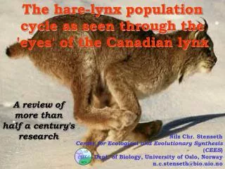 The hare-lynx population cycle as seen through the 'eyes' of the Canadian lynx