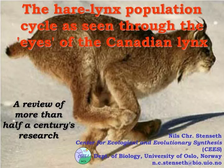 the hare lynx population cycle as seen through the eyes of the canadian lynx