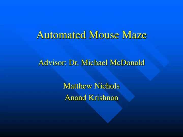 automated mouse maze
