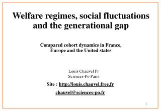 Welfare regimes, social fluctuations and the generational gap