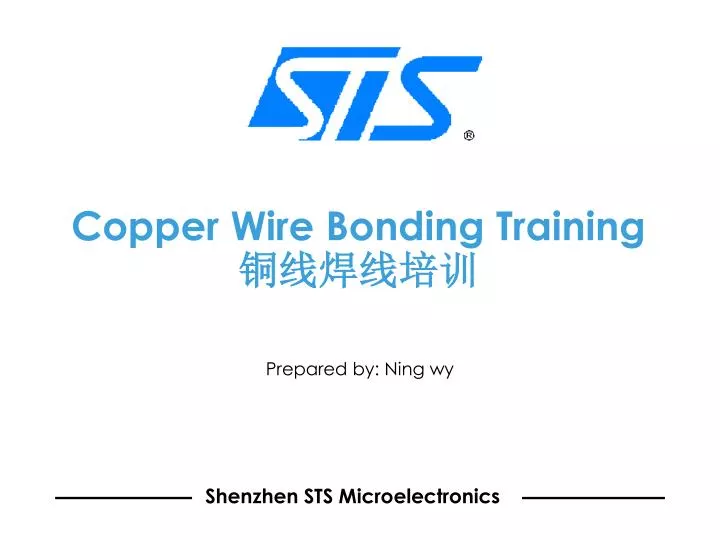 copper wire bonding training