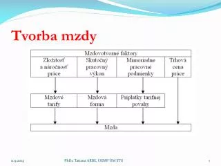 tvorba mzdy