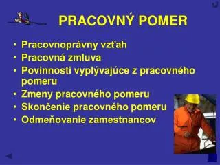 pracovn pomer