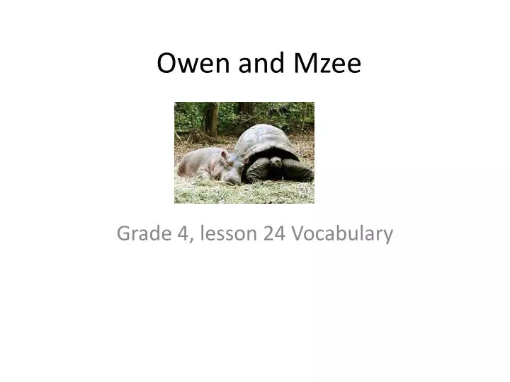 owen and mzee