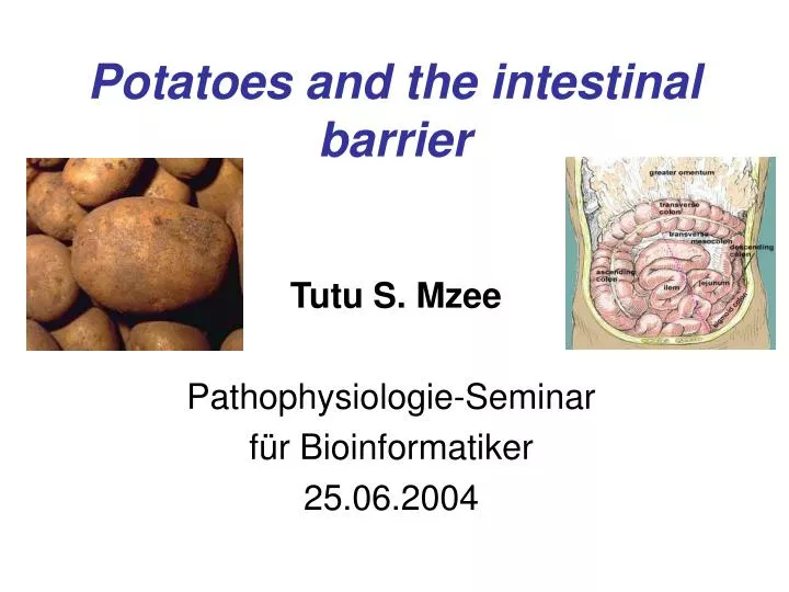 potatoes and the intestinal barrier