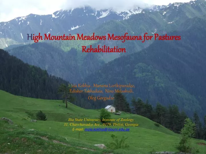 h igh mountain meadows mesofauna for pastures rehabilitation