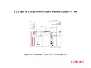 JJ Ipsaro et al. Nature 000 , 1-5 (2012) doi:10.1038/nature11502