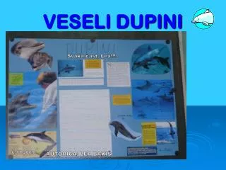 VESELI DUPINI