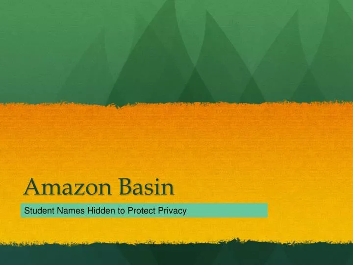 amazon basin