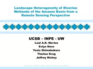 Landscape Heterogeneity of Riverine Wetlands of the Amazon Basin from a Remote Sensing Perspective