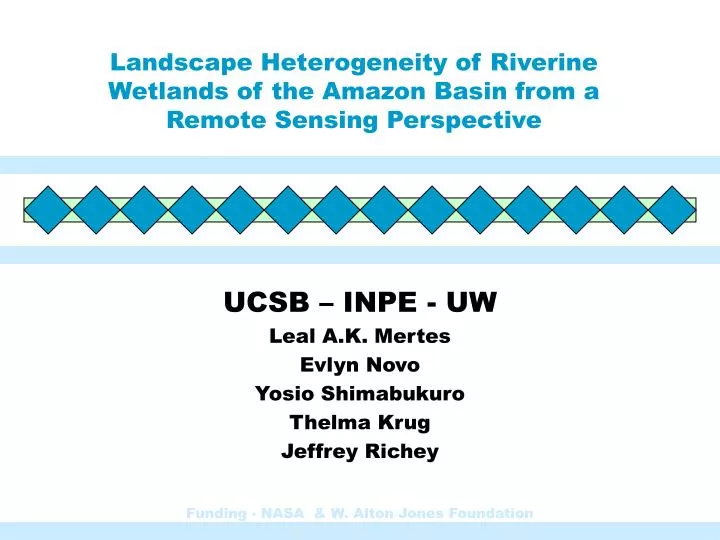 landscape heterogeneity of riverine wetlands of the amazon basin from a remote sensing perspective