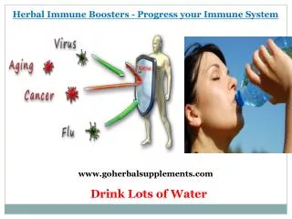 Herbal Immune Boosters - Progress your Immune System