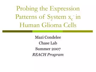Probing the Expression Patterns of System x c - in Human Glioma Cells