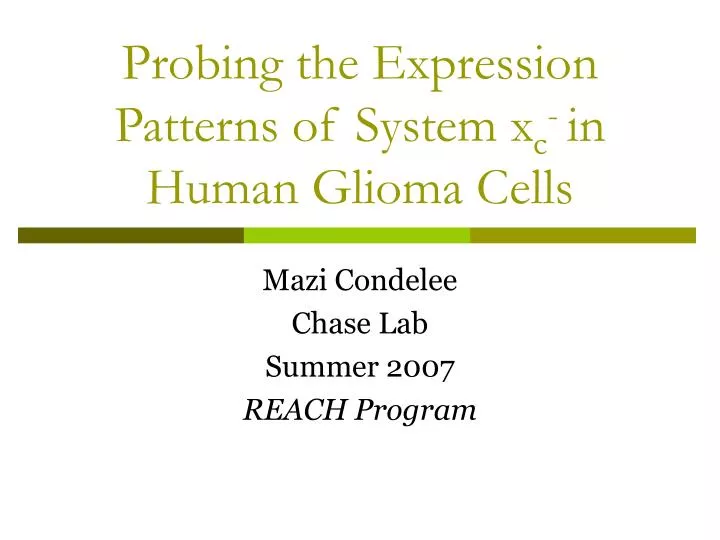probing the expression patterns of system x c in human glioma cells