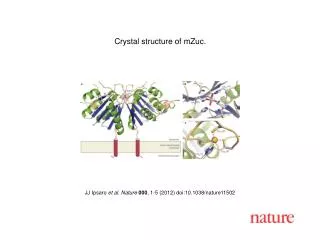 JJ Ipsaro et al. Nature 000 , 1-5 (2012) doi:10.1038/nature11502