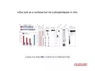 JJ Ipsaro et al. Nature 000 , 1-5 (2012) doi:10.1038/nature11502