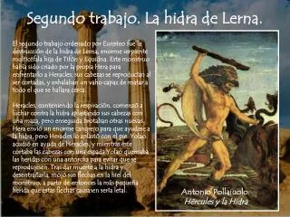 segundo trabajo la hidra de lerna