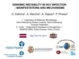 GENOMIC INSTABILITY IN HCV INFECTION : MANIFESTATIONS AND MECHANISMS