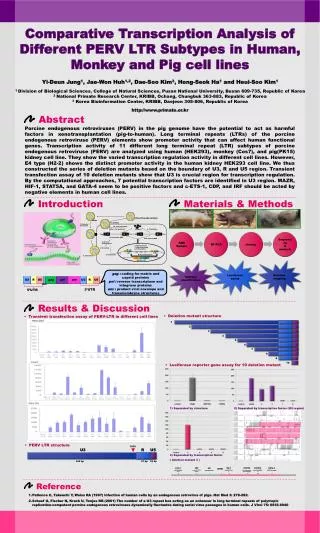 Comparative Transcription Analysis of