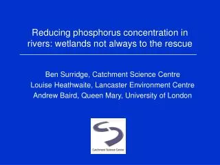Reducing phosphorus concentration in rivers: wetlands not always to the rescue