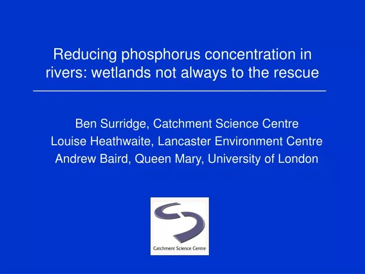 reducing phosphorus concentration in rivers wetlands not always to the rescue