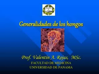 generalidades de los hongos