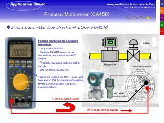 Process Multimeter (CA450)