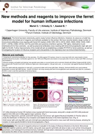 New methods and reagents to improve the ferret model for human influenza infections