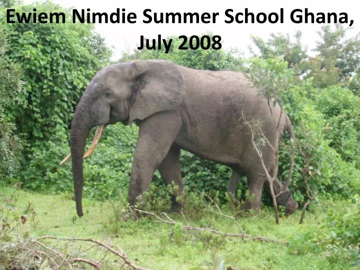 ewiem nimdie summer school ghana july 2008