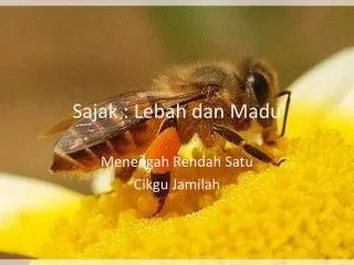sajak lebah dan madu