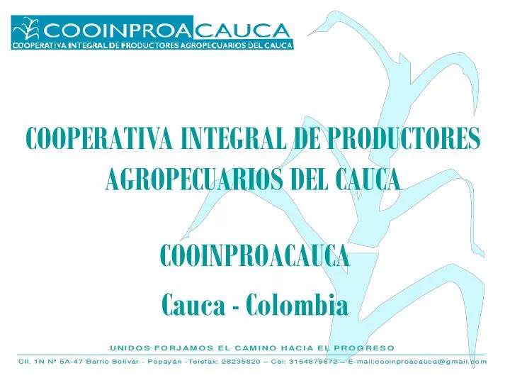 cooperativa integral de productores agropecuarios del cauca