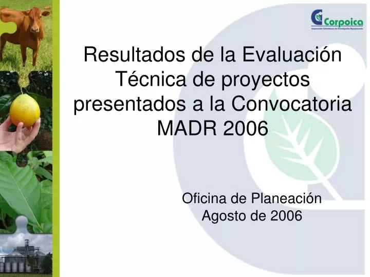 resultados de la evaluaci n t cnica de proyectos presentados a la convocatoria madr 2006
