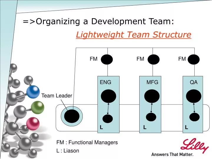 lightweight team structure