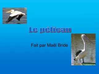 fait par ma l bride