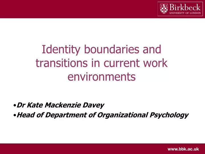 identity boundaries and transitions in current work environments