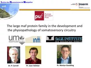 I nstitut des N eurosciences de M ontpellier
