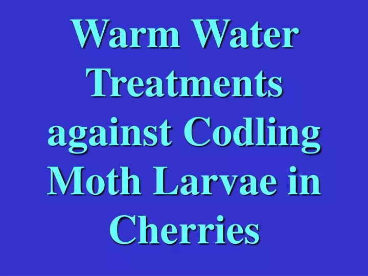 warm water treatments against codling moth larvae in cherries