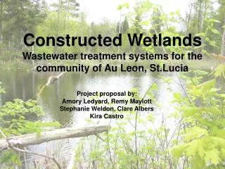 Constructed Wetlands Wastewater treatment systems for the community of Au Leon, St.Lucia