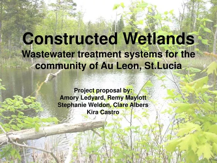 constructed wetlands wastewater treatment systems for the community of au leon st lucia