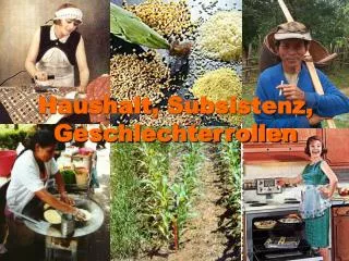 haushalt subsistenz geschlechterrollen