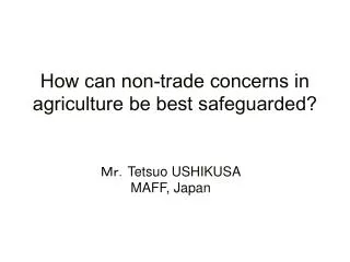 How can non-trade concerns in agriculture be best safeguarded?