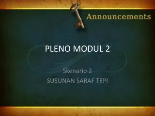 pleno modul 2