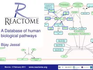 A Database of human biological pathways Bijay Jassal