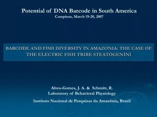 BARCODE AND FISH DIVERSITY IN AMAZONIA: THE CASE OF THE ELECTRIC FISH TRIBE STEATOGENINI