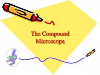 The Compound Microscope