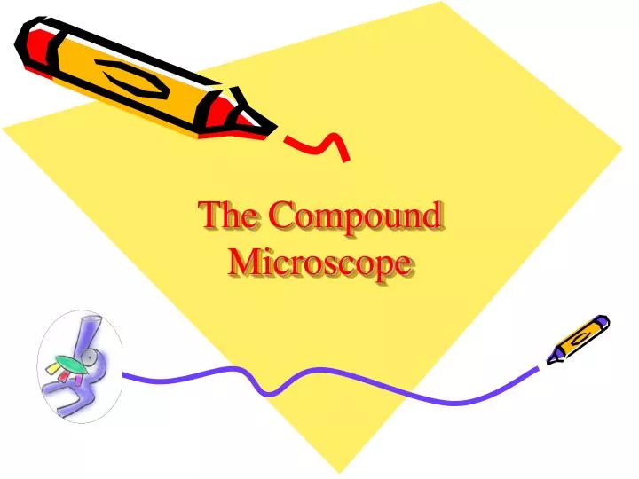 the compound microscope