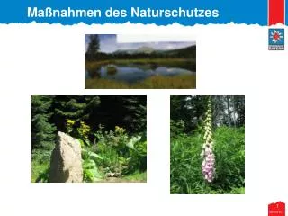 ma nahmen des naturschutzes